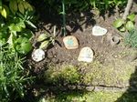 Több fűszer-jelölő-kő együtt a kertben